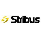 Stribus